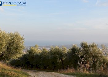 Foto 21 - Rustico CONTRADA COLLE MONTERENZO
 
4/A, San Benedetto del Tronto - foto 21