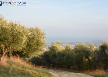 Foto 22 - Rustico CONTRADA COLLE MONTERENZO
 
4/A, San Benedetto del Tronto - foto 22