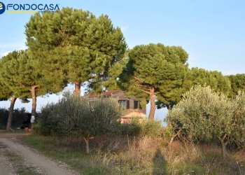 Foto 23 - Rustico CONTRADA COLLE MONTERENZO
 
4/A, San Benedetto del Tronto - foto 23