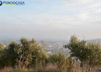 Foto 24 - Rustico CONTRADA COLLE MONTERENZO
 
4/A, San Benedetto del Tronto - foto 24