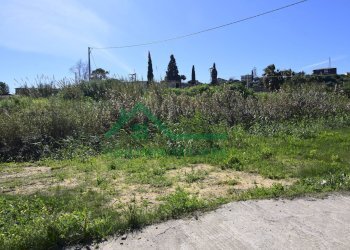 Foto 9 - Agricultural land C/DA TELEGRAFO VECCHIO, Catania - photo 9