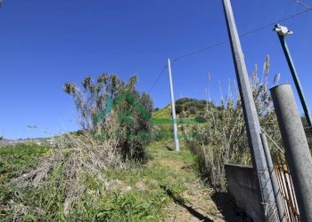 Foto 10 - Agricultural land C/DA TELEGRAFO VECCHIO, Catania - photo 10