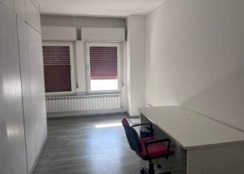 Capannone Argelato - foto 7