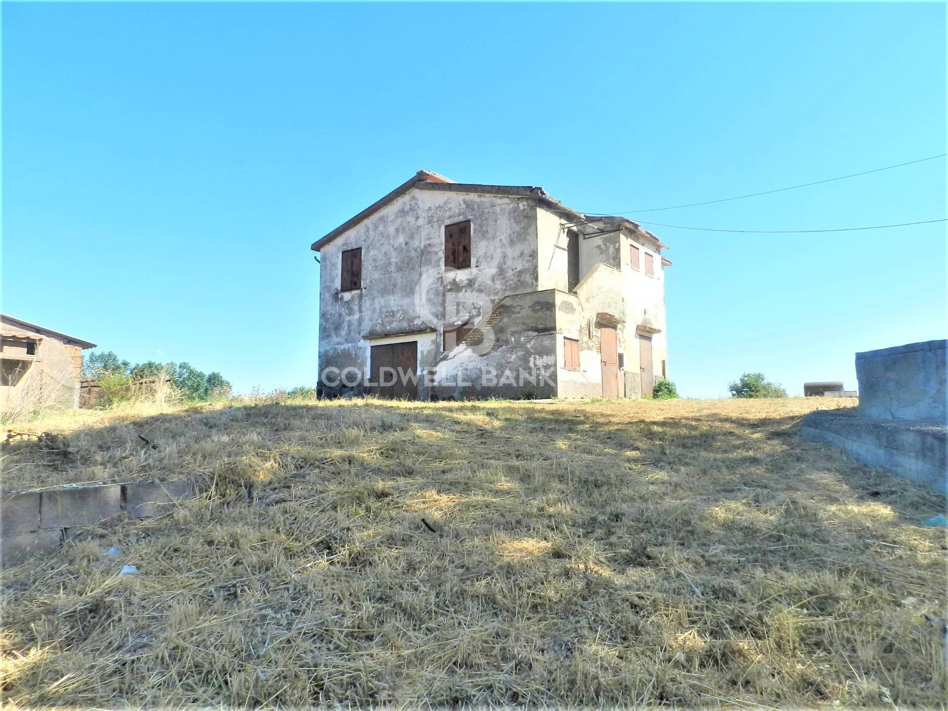 Foto 3 - Rustico Località Farnesiana
snc, Tarquinia - foto 3