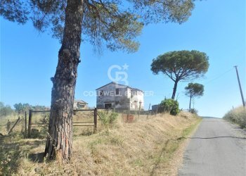 Foto 1 - Rustico Località Farnesiana
 
snc, Tarquinia - foto 1