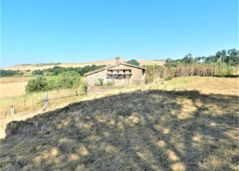 Foto 8 - Rustico Località Farnesiana
 
snc, Tarquinia - foto 8