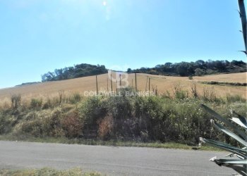 Foto 10 - Rustico Località Farnesiana
 
snc, Tarquinia - foto 10