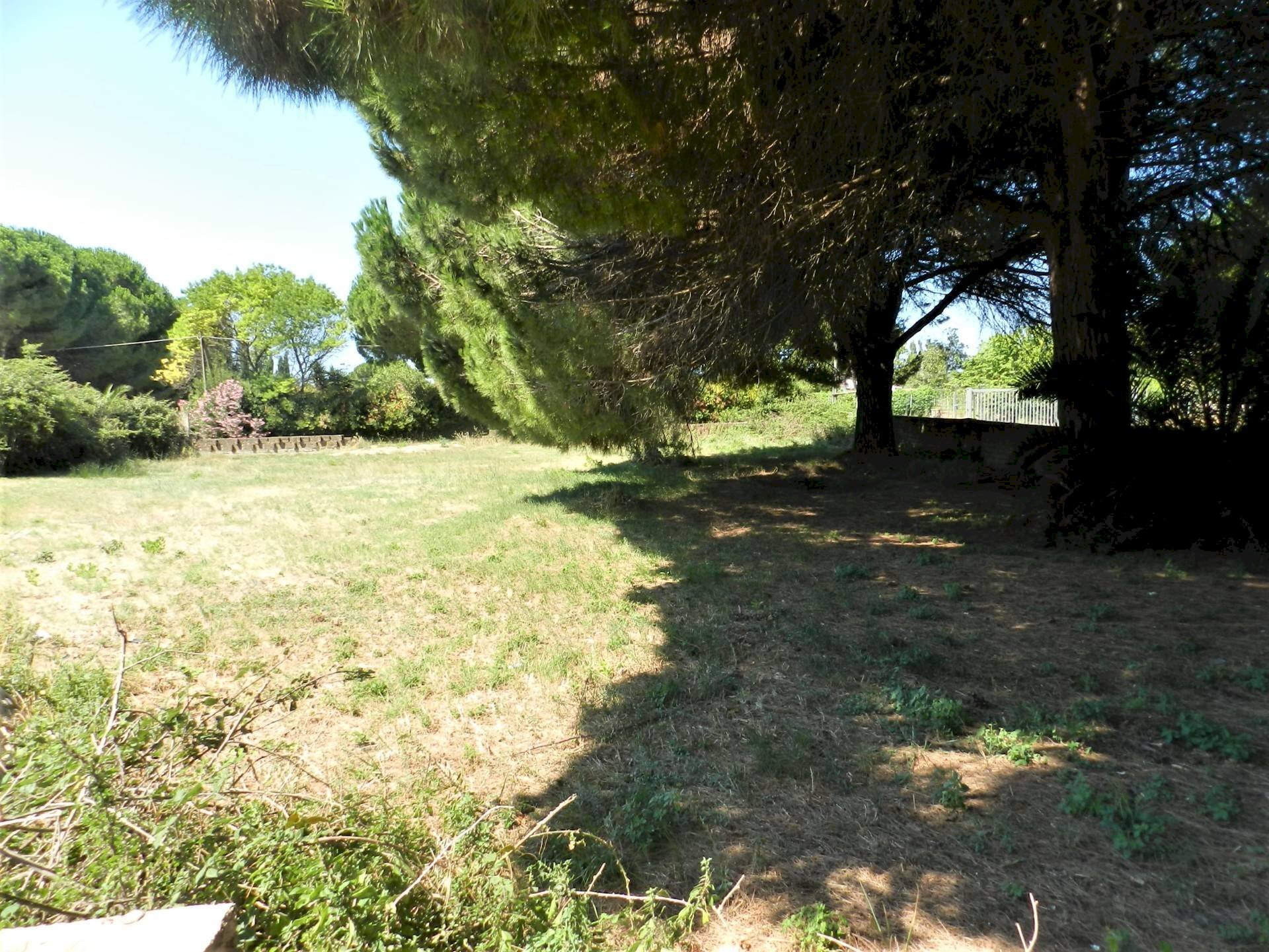 Foto 2 - Terreno agricolo Poggio della Birba, Tarquinia - foto 2