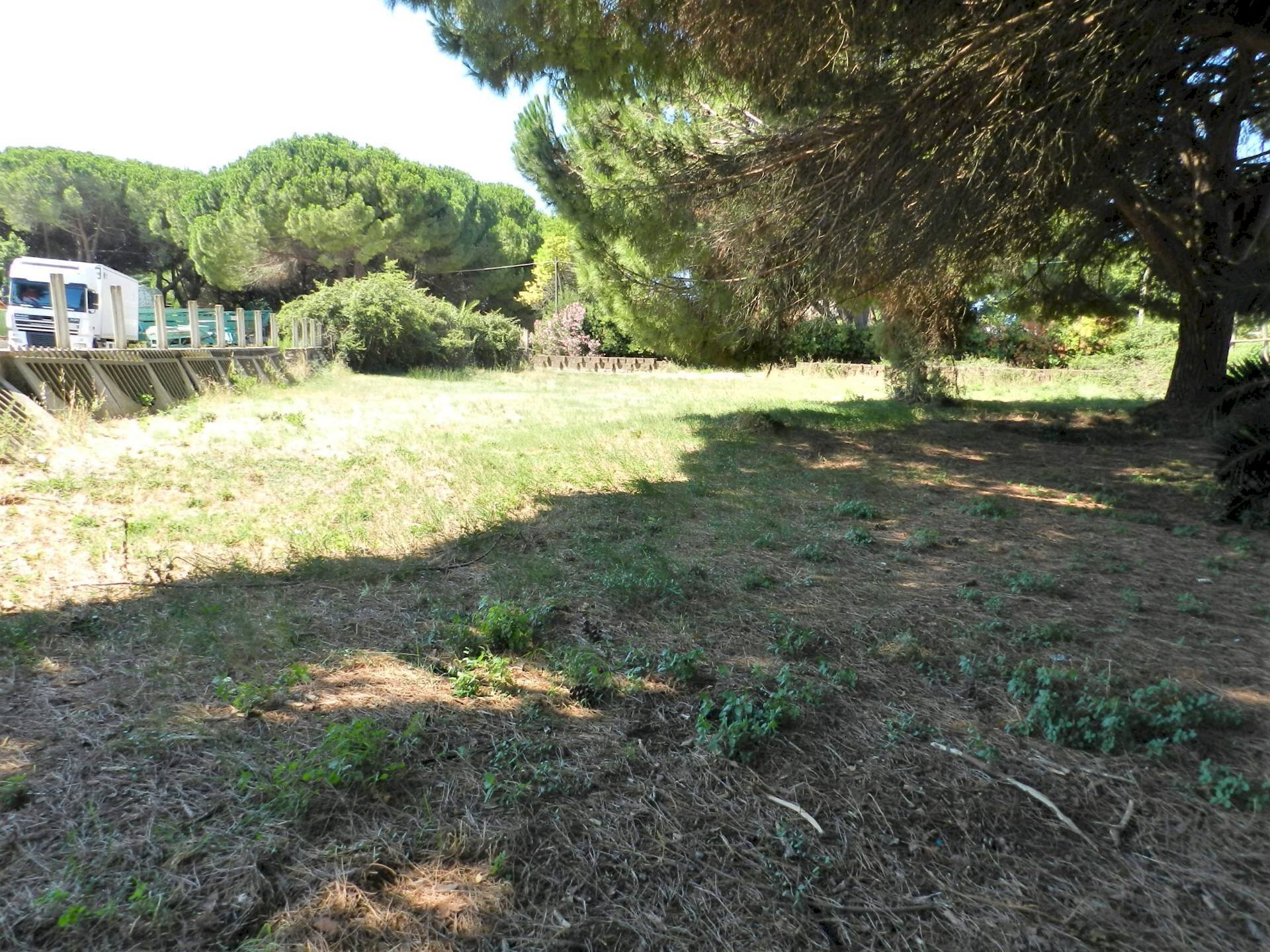 Foto 3 - Terreno agricolo Poggio della Birba, Tarquinia - foto 3