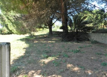 Foto 4 - Terreno agricolo Poggio della Birba, Tarquinia - foto 4