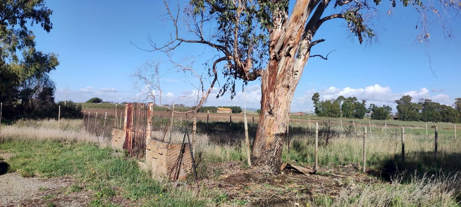 Foto 1 - Terreno agricolo Località San Giorgio, Tarquinia - foto 1