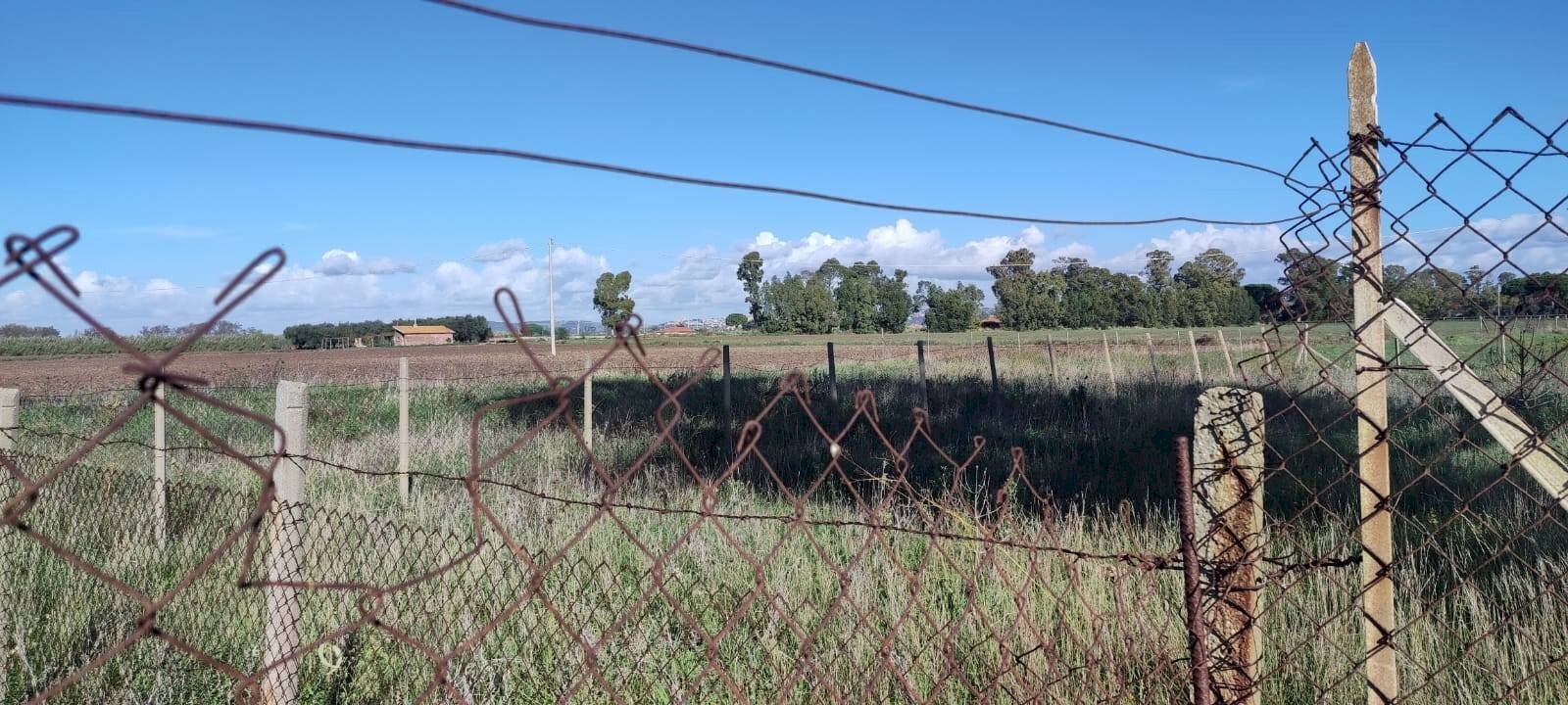 Foto 3 - Terreno agricolo Località San Giorgio, Tarquinia - foto 3