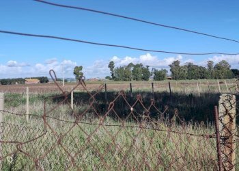 Foto 3 - Terreno agricolo Località San Giorgio, Tarquinia - foto 3