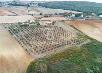 Foto 1 - Villa Località Casal Nuovo, Tarquinia - foto 1