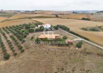 Foto 46 - Villa Località Casal Nuovo, Tarquinia - foto 46