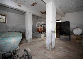 Foto 25 - Rustico Strada Montebello Infernetto, Tuscania - foto 25