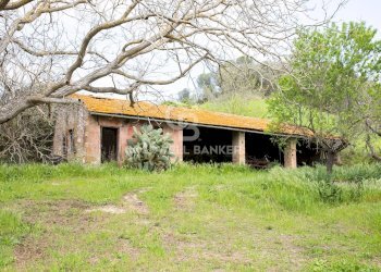 Foto 32 - Rustico Strada Montebello Infernetto, Tuscania - foto 32