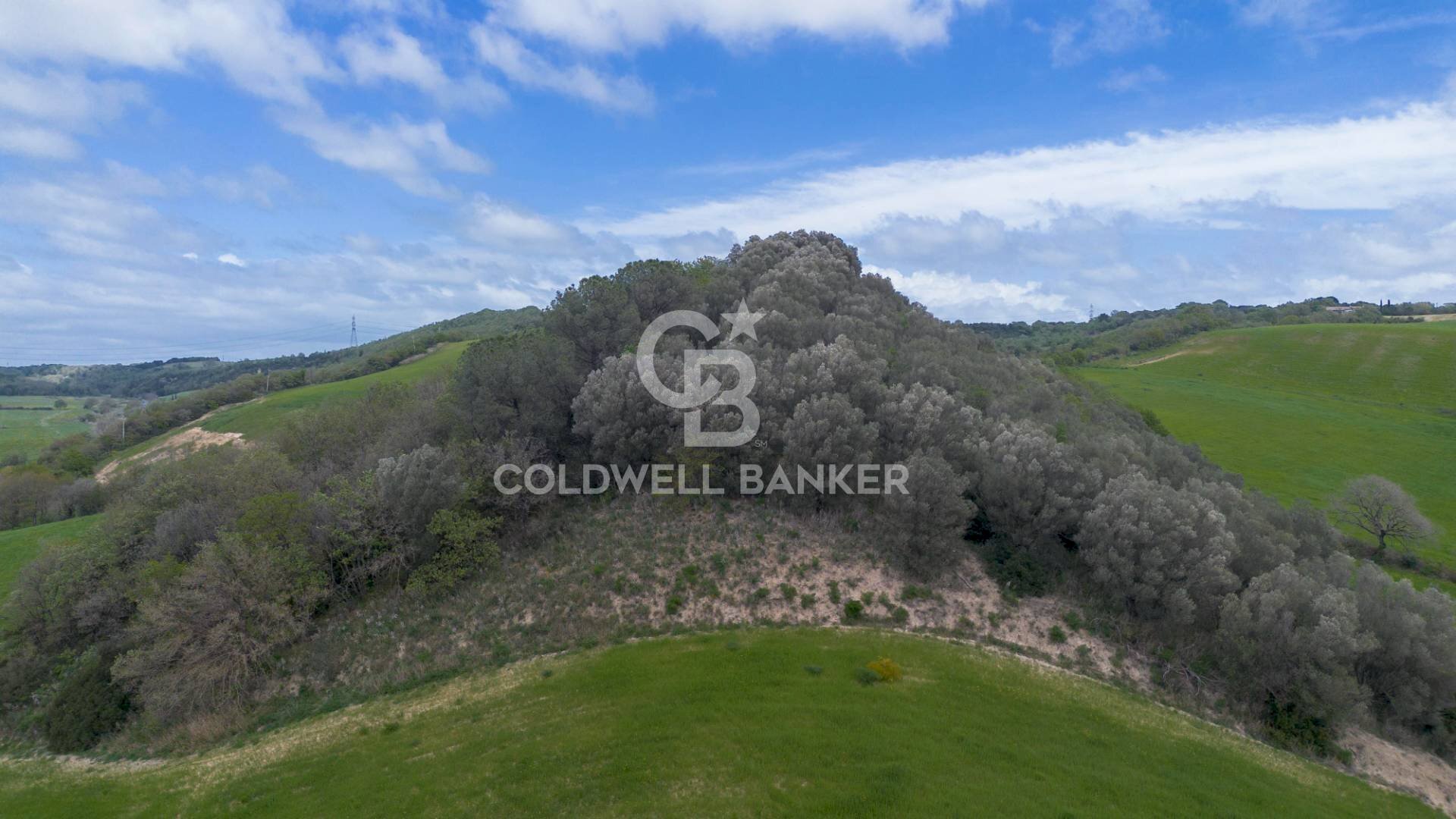 Foto 1 - Terreno agricolo Località Montebello Infernetto, Tuscania - foto 1