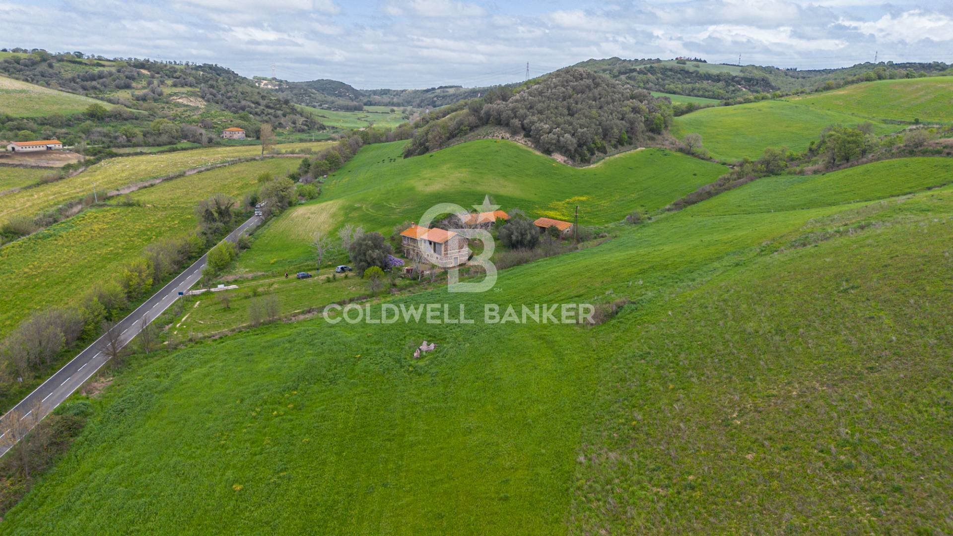 Foto 3 - Terreno agricolo Località Montebello Infernetto, Tuscania - foto 3