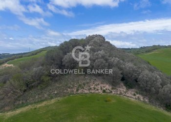 Foto 1 - Terreno agricolo Località Montebello Infernetto, Tuscania - foto 1