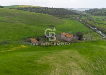 Foto 2 - Terreno agricolo Località Montebello Infernetto, Tuscania - foto 2