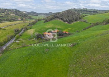 Foto 3 - Terreno agricolo Località Montebello Infernetto, Tuscania - foto 3