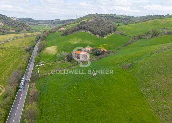 Foto 4 - Terreno agricolo Località Montebello Infernetto, Tuscania - foto 4