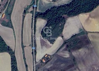 Foto 5 - Terreno agricolo Località Montebello Infernetto, Tuscania - foto 5