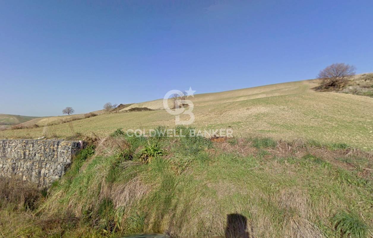 Foto 1 - Terreno agricolo Località Montebello, Tuscania - foto 1