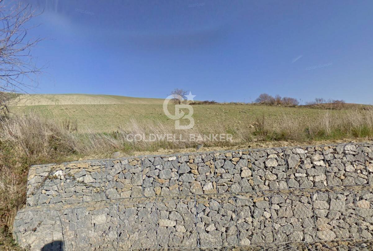 Foto 3 - Terreno agricolo Località Montebello, Tuscania - foto 3