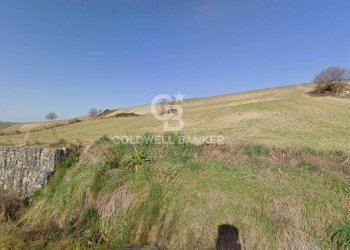 Foto 1 - Terreno agricolo Località Montebello, Tuscania - foto 1