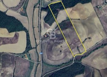 Foto 2 - Terreno agricolo Località Montebello, Tuscania - foto 2