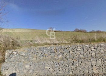 Foto 3 - Terreno agricolo Località Montebello, Tuscania - foto 3