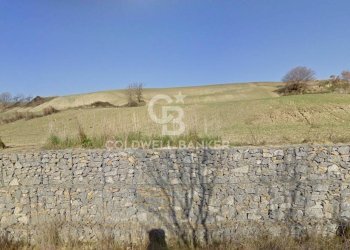 Foto 4 - Terreno agricolo Località Montebello, Tuscania - foto 4