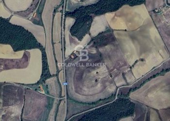 Foto 5 - Terreno agricolo Località Montebello, Tuscania - foto 5