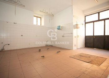 Foto 5 - Bilocale Vicolo Breve
 
4, Tarquinia - foto 5