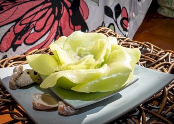 Foto 33 - Villa Via degli Aisina
 
383/B, Tarquinia - foto 33