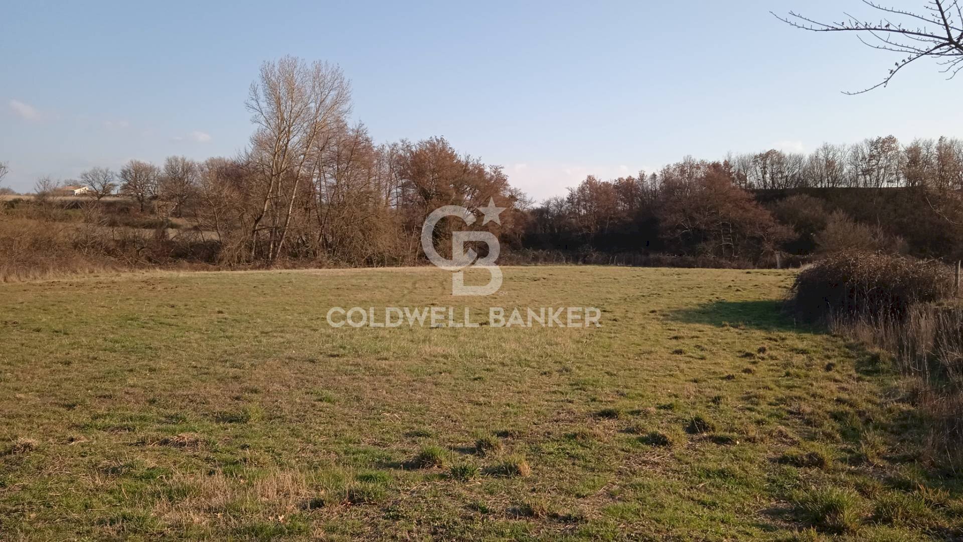 Foto 1 - Agricultural land Nepi - photo 1