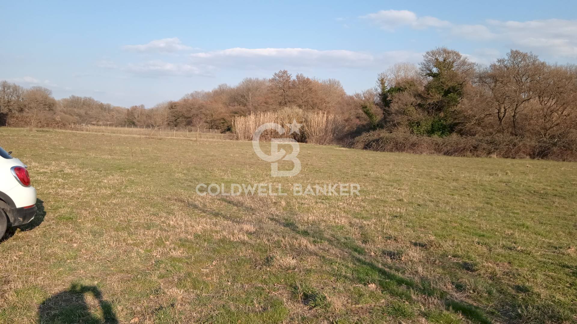 Foto 2 - Agricultural land Nepi - photo 2