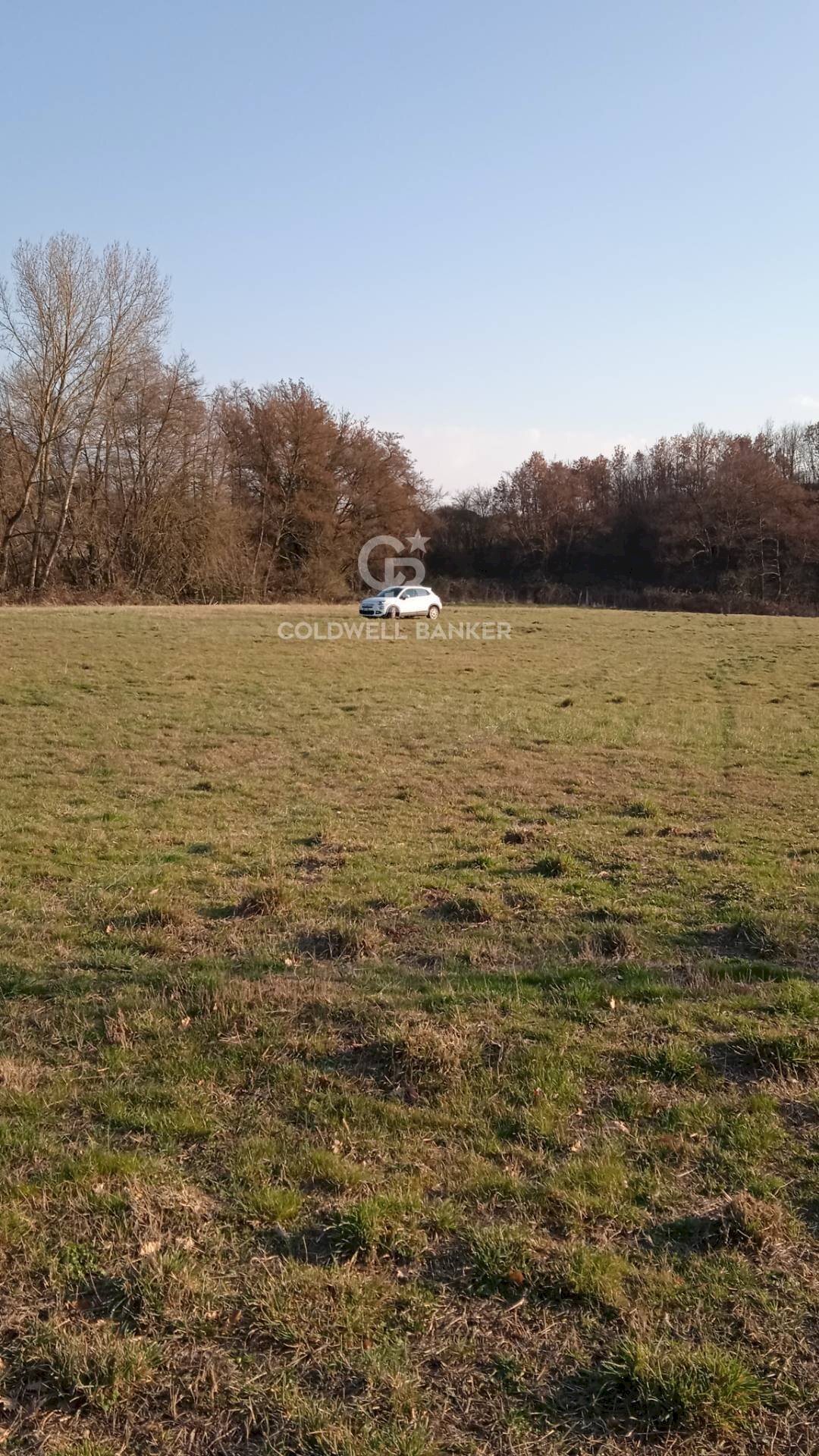 Foto 3 - Agricultural land Nepi - photo 3