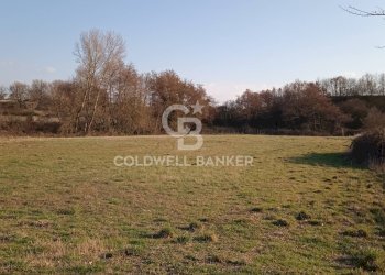 Foto 1 - Terreno agricolo Nepi - foto 1