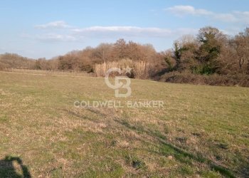 Foto 2 - Terreno agricolo Nepi - foto 2