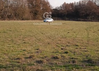 Foto 3 - Terreno agricolo Nepi - foto 3