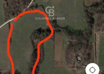 Foto 4 - Terreno agricolo Nepi - foto 4