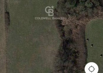 Foto 5 - Terreno agricolo Nepi - foto 5