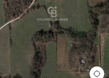 Foto 6 - Terreno agricolo Nepi - foto 6