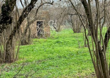 Foto 1 - Terreno agricolo Via Giovanni XXXIII, Sutri - foto 1