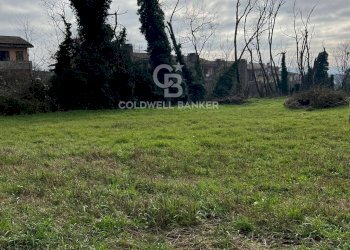 Foto 3 - Terreno agricolo Via Giovanni XXXIII, Sutri - foto 3