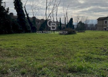 Foto 5 - Terreno agricolo Via Giovanni XXXIII, Sutri - foto 5