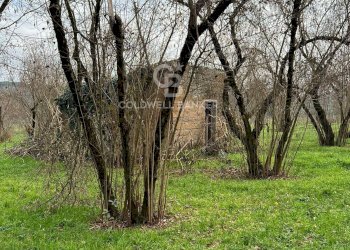 Foto 6 - Terreno agricolo Via Giovanni XXXIII, Sutri - foto 6